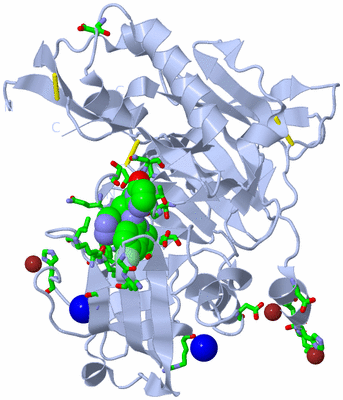 Image Biol. Unit 1 - sites