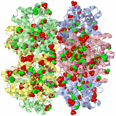 Image Biological Unit 1