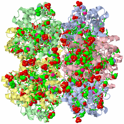 Image Biol. Unit 1 - sites