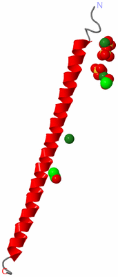 Image Asymmetric Unit