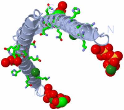 Image Biol. Unit 1 - sites