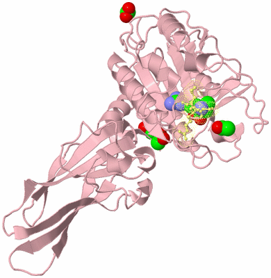 Image Biological Unit 2