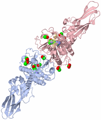 Image Biological Unit 3