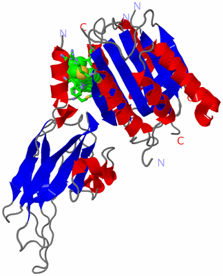 Image Asym. Unit - sites