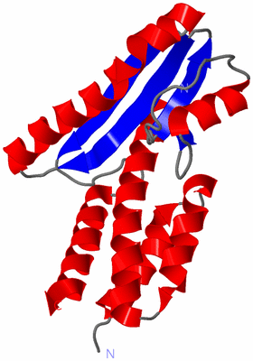 Image Asymmetric Unit