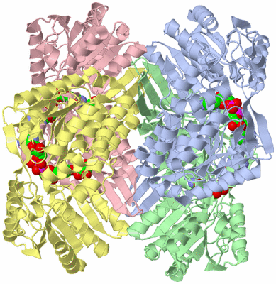 Image Asym./Biol. Unit