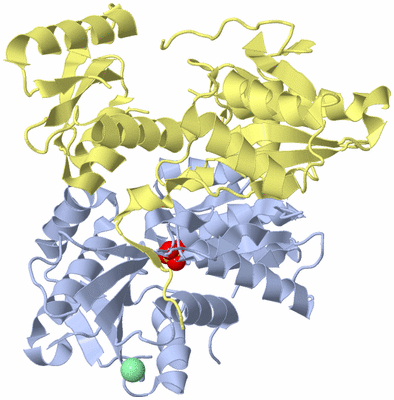 Image Biological Unit 1