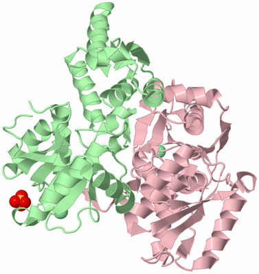 Image Biological Unit 2