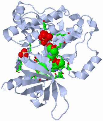 Image Biol. Unit 1 - sites