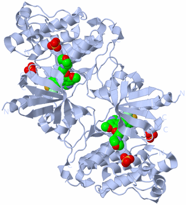 Image Biological Unit 2