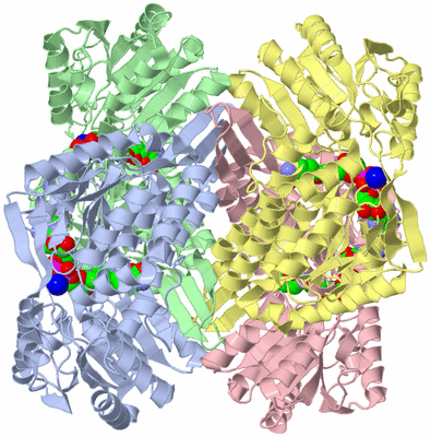 Image Asym./Biol. Unit