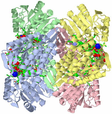 Image Asym./Biol. Unit - sites