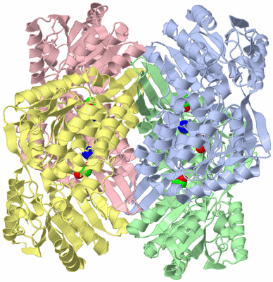 Image Asym./Biol. Unit