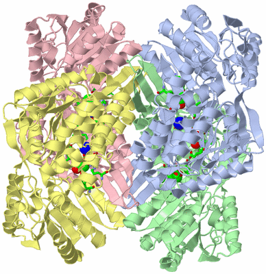 Image Asym./Biol. Unit - sites