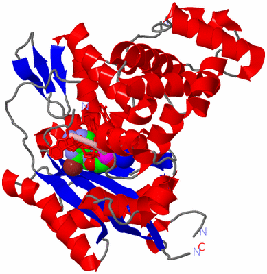 Image Asym./Biol. Unit