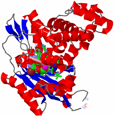 Image Asym./Biol. Unit - sites