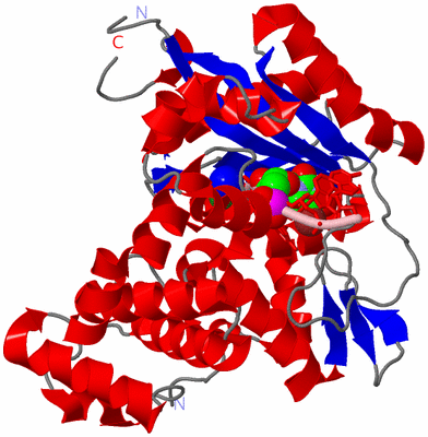 Image Asym./Biol. Unit