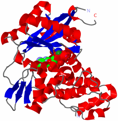 Image Asym./Biol. Unit