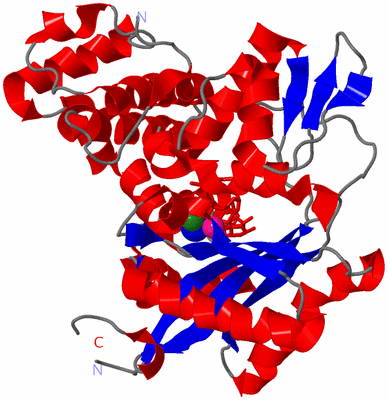 Image Asym./Biol. Unit