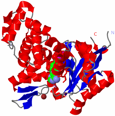 Image Asym./Biol. Unit