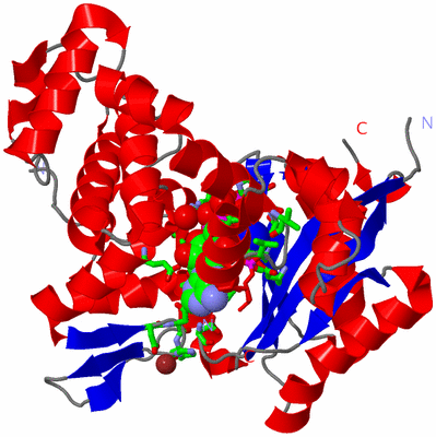 Image Asym./Biol. Unit - sites