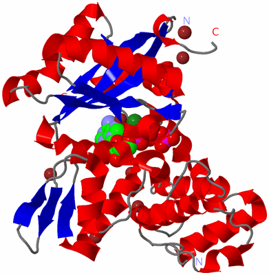 Image Asym./Biol. Unit