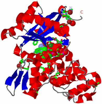 Image Asym./Biol. Unit - sites