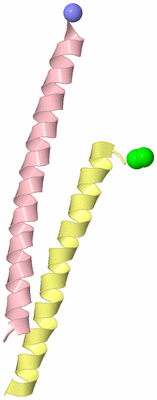 Image Asymmetric Unit