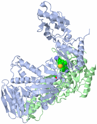 Image Asym./Biol. Unit