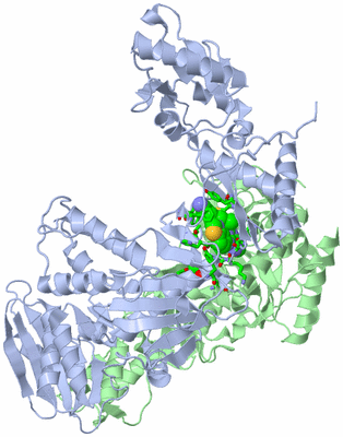 Image Asym./Biol. Unit - sites