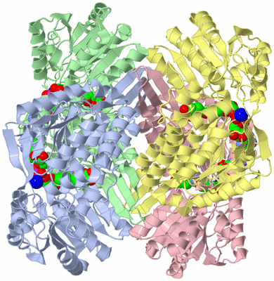 Image Asym./Biol. Unit