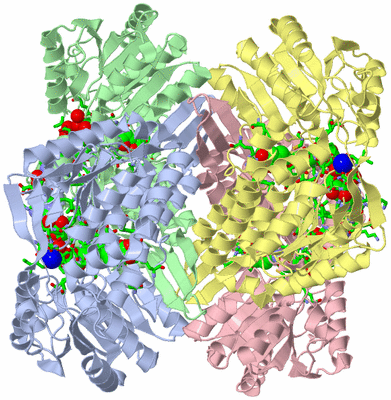 Image Asym./Biol. Unit - sites