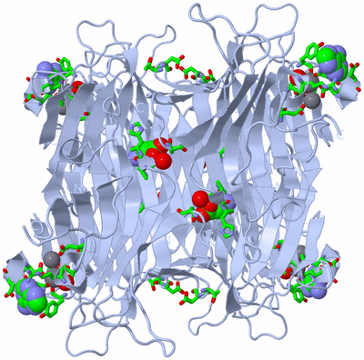 Image Biol. Unit 1 - sites