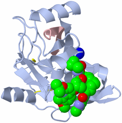 Image Biological Unit 1