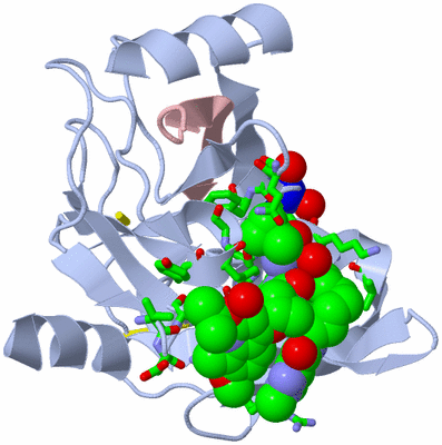 Image Biol. Unit 1 - sites