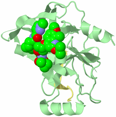 Image Biological Unit 2