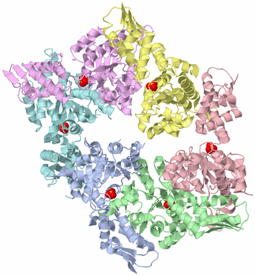 Image Asym./Biol. Unit