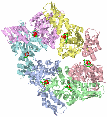 Image Asym./Biol. Unit - sites