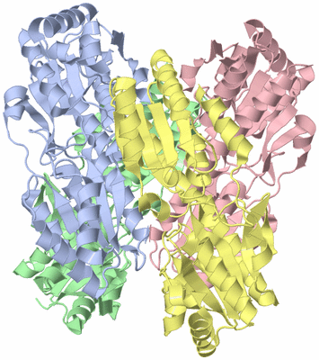 Image Asym./Biol. Unit