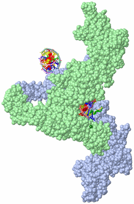 Image Asym./Biol. Unit