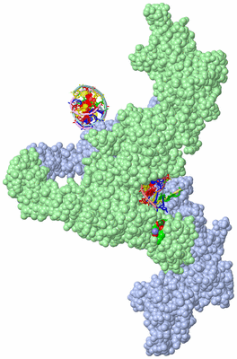 Image Asym./Biol. Unit - sites