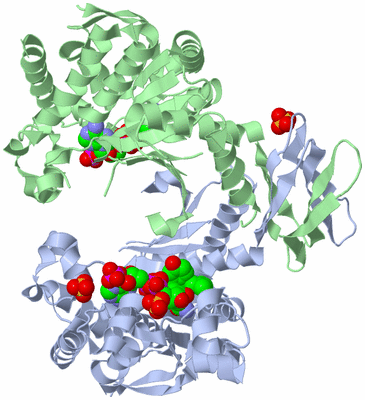 Image Asym./Biol. Unit