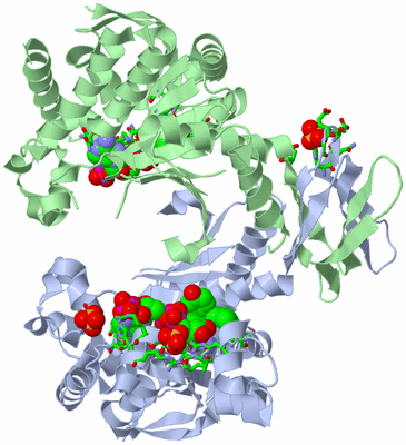 Image Asym./Biol. Unit - sites