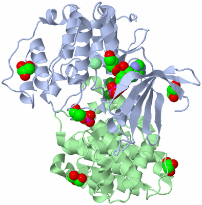 Image Biological Unit 1