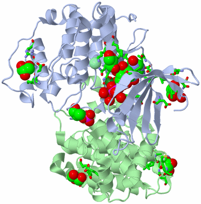 Image Biol. Unit 1 - sites