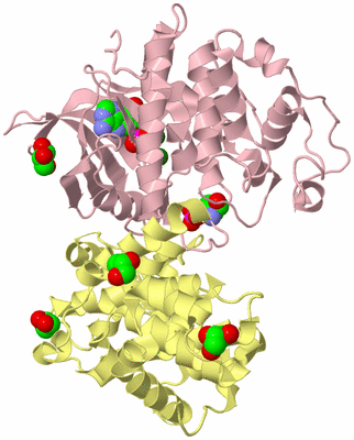 Image Biological Unit 2