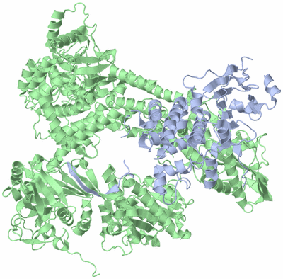 Image Asym./Biol. Unit