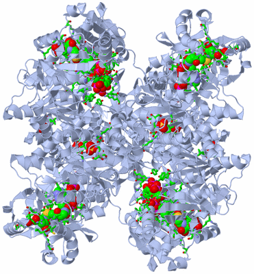 Image Biol. Unit 1 - sites