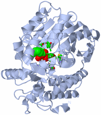 Image Biol. Unit 1 - sites