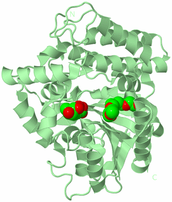 Image Biological Unit 2